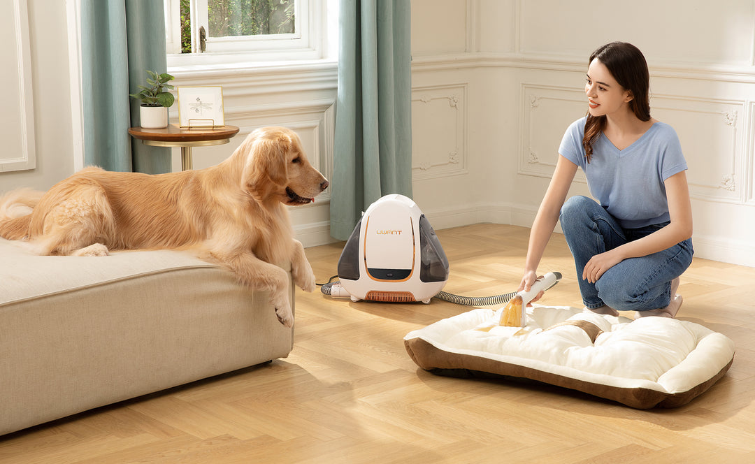 This UWANT portable carpet cleaner is one of the best-selling items of Amazon Prime Day 2023