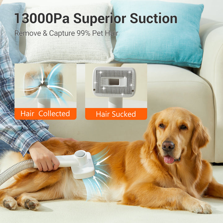 P100 Pet Care Machine UWANT